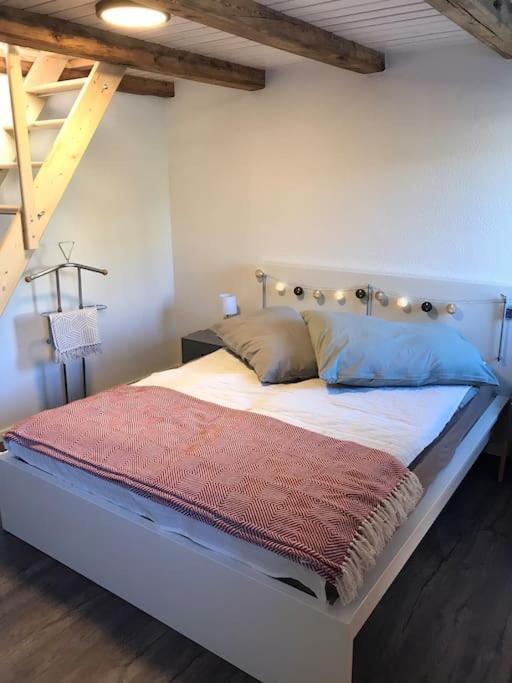 La Maisonnette : Charmante Maison Independante Salgesch Kültér fotó