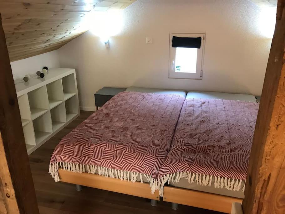 La Maisonnette : Charmante Maison Independante Salgesch Kültér fotó
